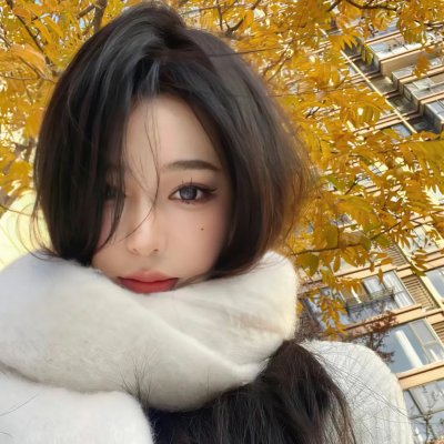 谍网雄鸽